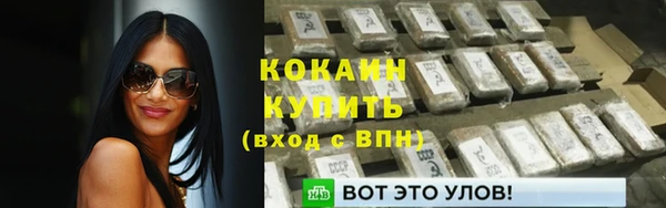 ECSTASY Бородино