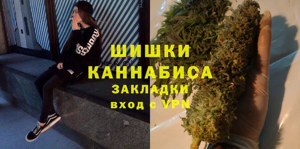 ECSTASY Бородино